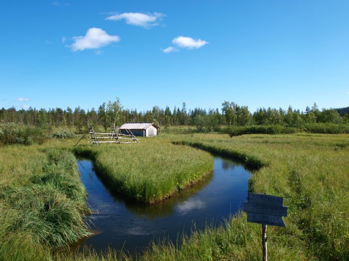 europa_finlandia-senderismo_en_la_frontera_rusa-7-3