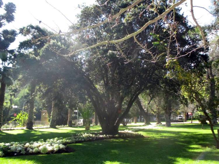 10389356_702831526459849_3308791237392771204_n