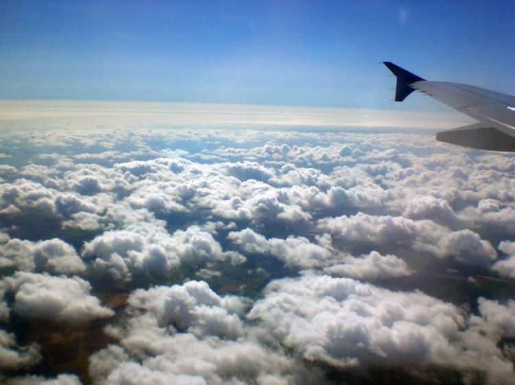 10593074_1563899840497737_2776651623009078414_n