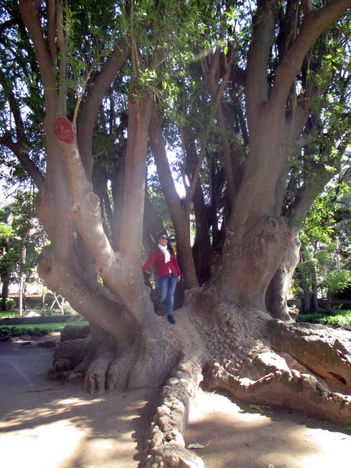 10710588_702831649793170_5416402873116467696_n