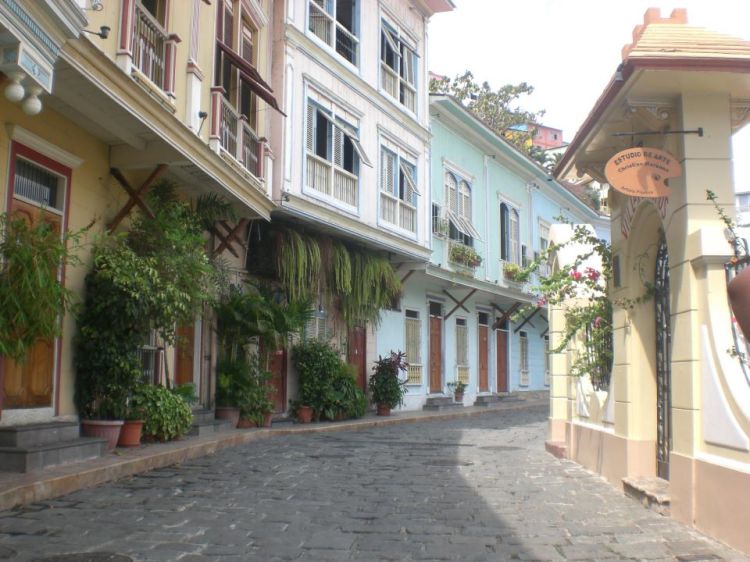 206064_406746292735042_565086561_n