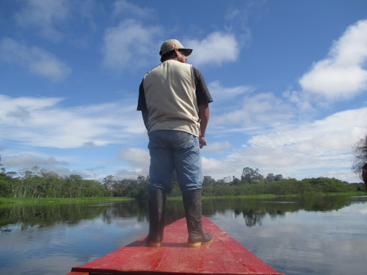 Navegando río adentro para avistamiento de flora y fauna.