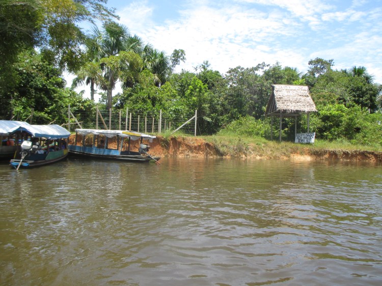 Río Momón donde se filmo Pantaleón y las Visitadores, Anaconda y Depredador.