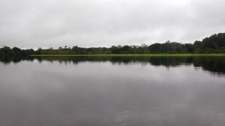 IMG_20150403_055347119