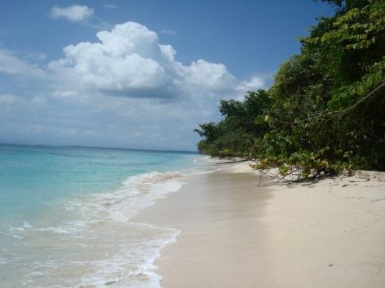 cayo-zapatilla-panama