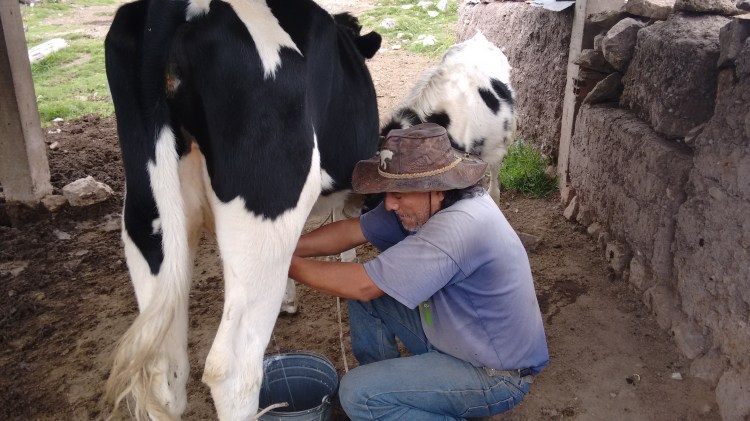 IMG_20150501_123429395