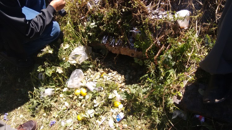 IMG_20150503_112903028