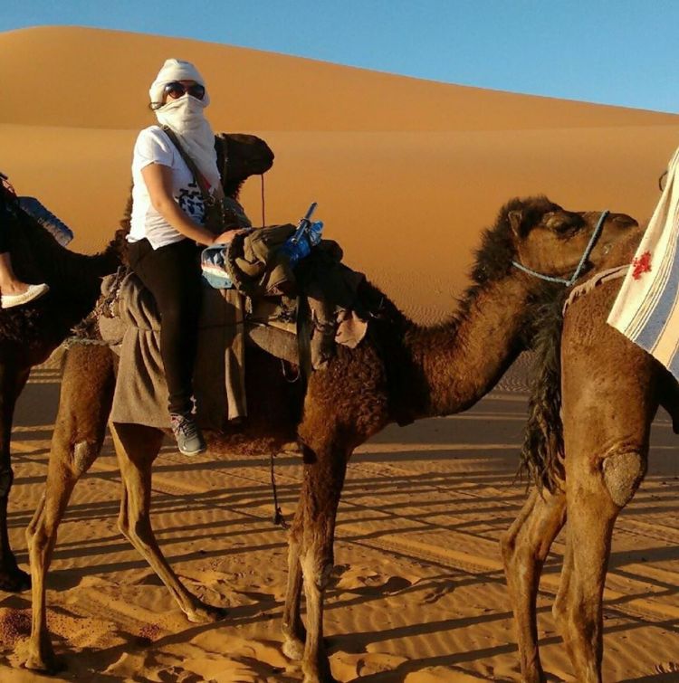 12983811_997123530363979_7668611239911311204_o