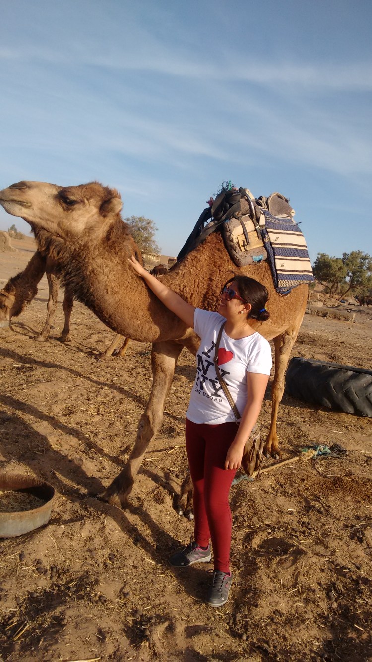 IMG_20160416_080913923