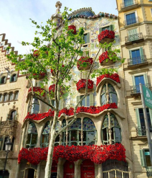 tumblr_o61s97eqzY1t9xzcpo1_500