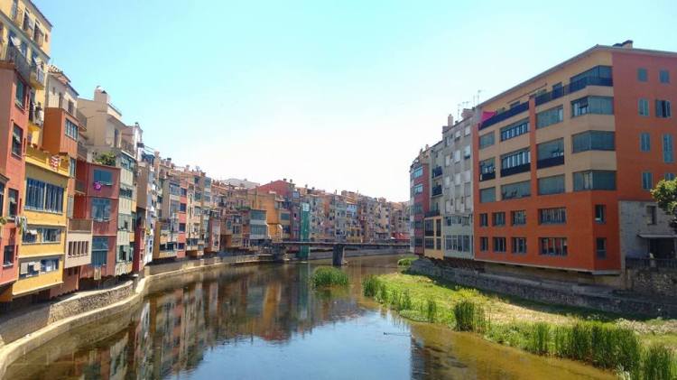 19149218_1365353796874282_3383387194536777034_n